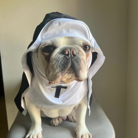 Nun Pet Costume for Holy Cats Dogs Funny Halloween Outfit - Picture 3 of 5